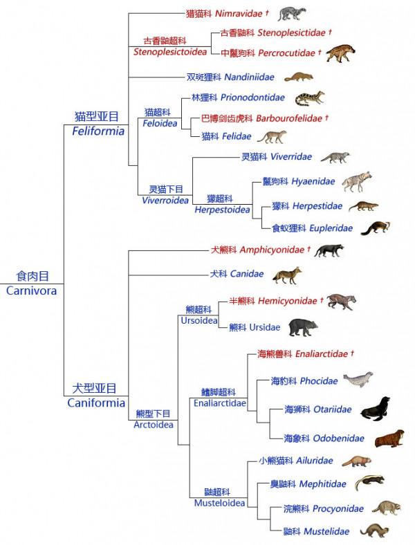 狗吃草是生病了嗎？