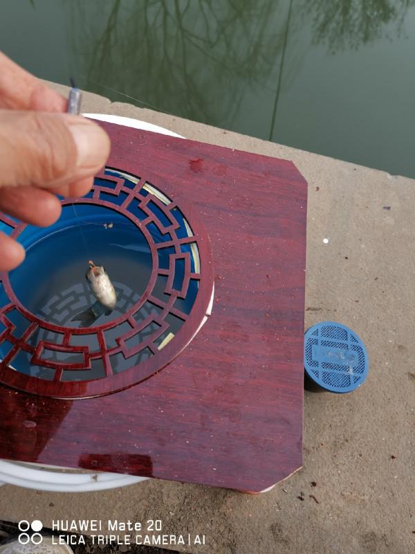 與小雜魚鬥智鬥勇,拼比毅力和耐性 與小雜魚鬥智鬥勇,拼比毅力和耐性