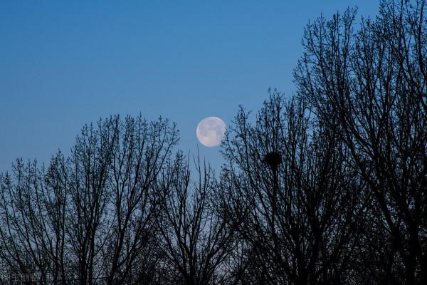 最經典的詩詞530首,掌握這些詩詞對寫詩和鑑賞詩詞足夠了 最經典的詩詞530首,掌握這些詩詞對寫詩和鑑賞詩詞足夠了