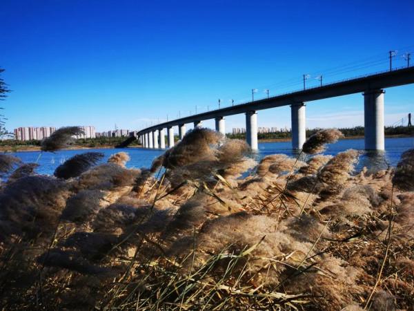 今日北京美圖大賞