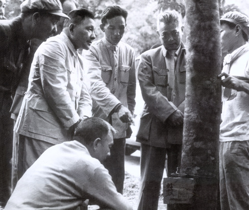 軍隊如何選好接班人?鄧小平憂心忡忡,會見外賓時,擔憂溢於言表 軍隊如何選好接班人?鄧小平憂心忡忡,會見外賓時,擔憂溢於言表