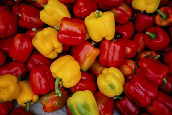 比iPhone 13還難搶到 理光GR IIIx相機評測