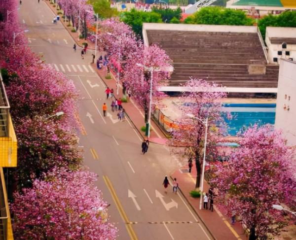 雙一流名單遲遲未公佈,這5所雙非大學將升級為雙一流?呼聲最高 雙一流名單遲遲未公佈,這5所雙非大學將升級為雙一流?呼聲最高