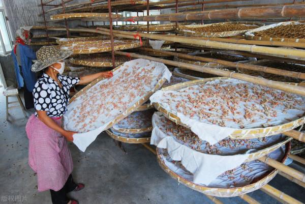 什麼是農民享有共同富裕的真正法寶? 什麼是農民享有共同富裕的真正法寶?