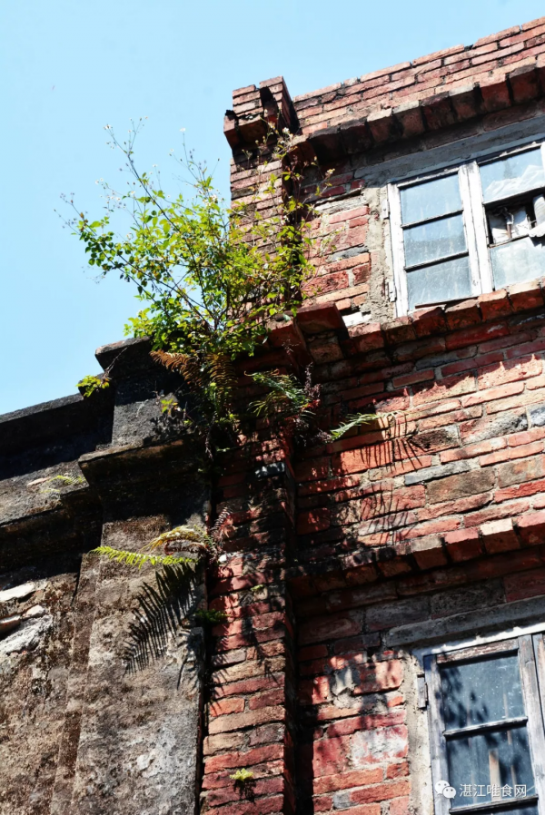 安鋪是什麼味的？走進老街好好嚐嚐