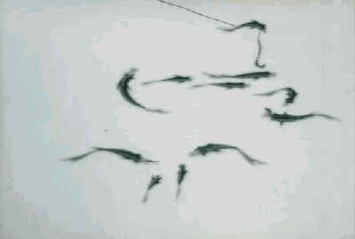 《道德經》故事：老子牙不好，關尹子請他吃石榴