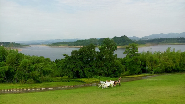 重慶村莊地上冒火60年不滅,村民用來燒水做飯,原來國外也有 重慶村莊地上冒火60年不滅,村民用來燒水做飯,原來國外也有
