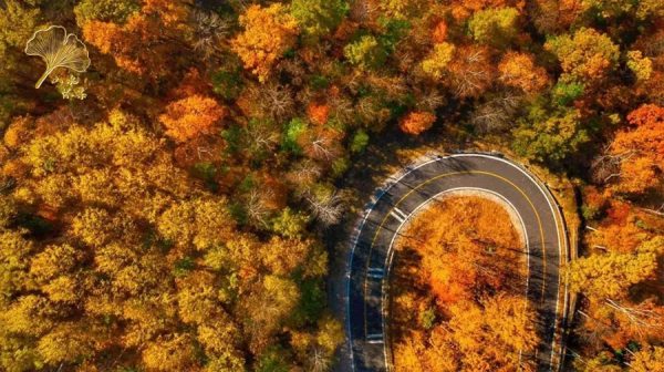 【玩轉懷柔】2021懷柔賞秋攻略出爐！一個字，絕！