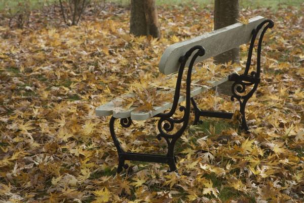 每一個勇敢的靈魂，都在向內求索