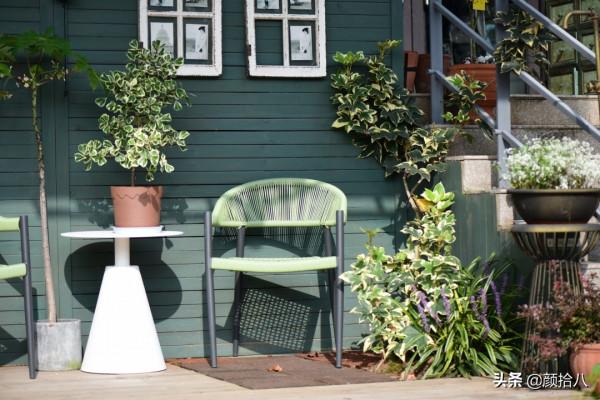 綠色背景牆的角落，聞著番木瓜花的香味賞月啦 | 園丁