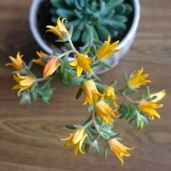 物品分類整理，學會使用標籤