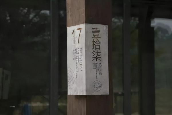 3組中國風導視系統方案分享