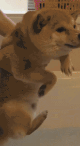 成長是什麼?意味著什麼? 成長是什麼?意味著什麼?