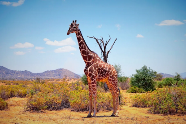 這些奢侈回憶，被我翻了千百遍