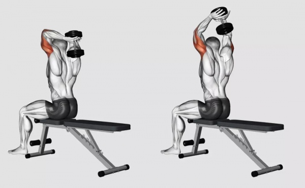 啞鈴和啞鈴凳的疊加1+1＞2？關於健身的化學反應就是這麼神奇