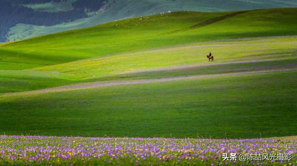 2017年5月26日 新疆喀拉峻大草原