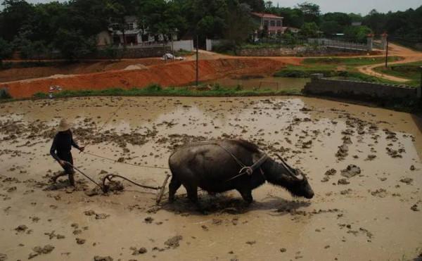 短篇小說：蛻變還是墮落？（上）