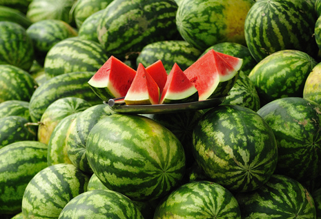 食慾不振?中醫來幫忙 食慾不振?中醫來幫忙