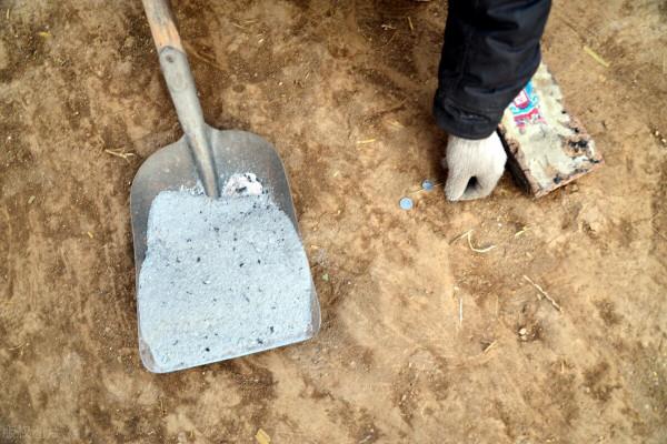 白菜生蟲子，別動不動就施藥，噴點家裡不起眼的小東西也管用
