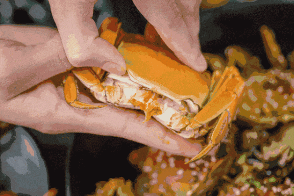 沒有一個冬奧選手，能拒絕這100道中國美食