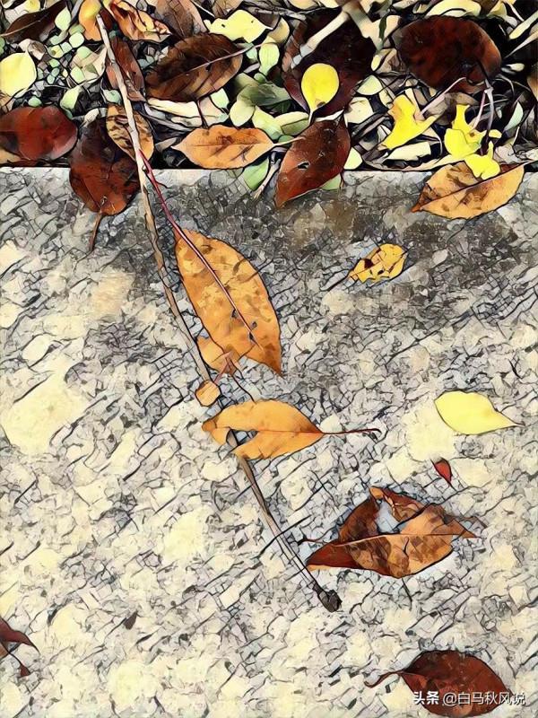 你走，我不送你