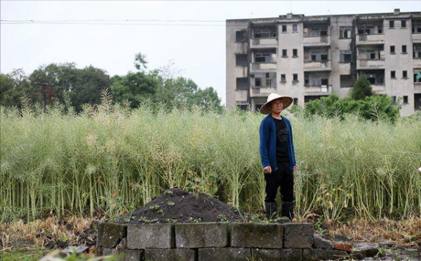 13年前,那個騎摩托載亡妻回家,半年後又再婚的吳加芳後來怎樣? 13年前,那個騎摩托載亡妻回家,半年後又再婚的吳加芳後來怎樣?