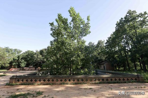 航拍陝西“天下第一地窖村”進村不見房聞聲不見人