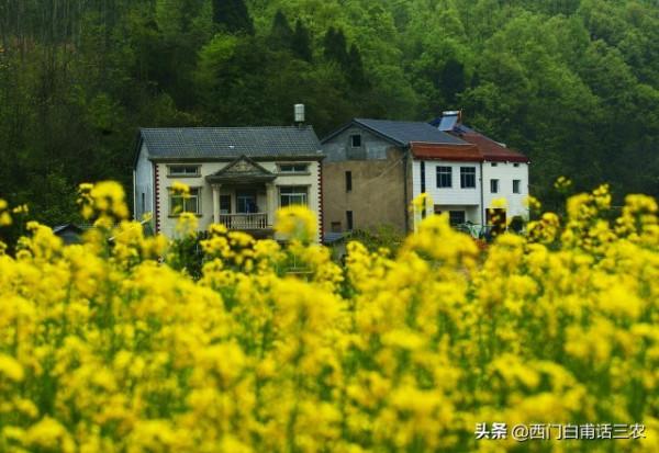 農村承包地宅基地有償退出要具備三個條件,農民朋友快來了解 農村承包地宅基地有償退出要具備三個條件,農民朋友快來了解