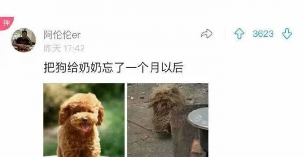 又一明星被爆塌房 好傢伙這是我今年見過最搞笑的塌房事件了吧 又一明星被爆塌房 好傢伙這是我今年見過最搞笑的塌房事件了吧