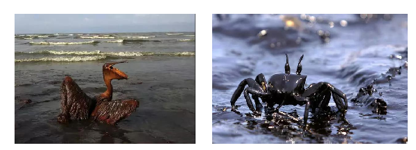 海洋的淨化器——石墨烯高吸附材料