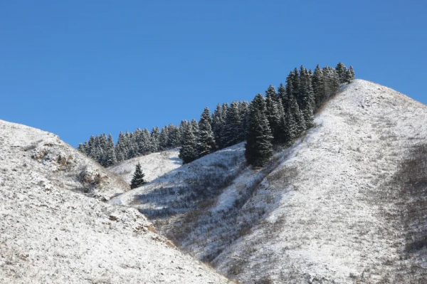 雪後走進烏孫山，陶醉在童話世界裡