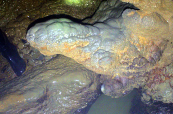 百億投資背後的國帥·龜仙洞，洞中釀出好醬酒