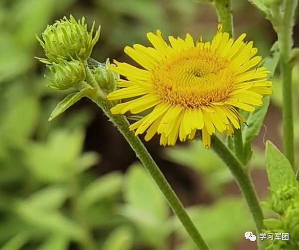 晚間悅讀丨你跑過的路,每一步都算數! 晚間悅讀丨你跑過的路,每一步都算數!