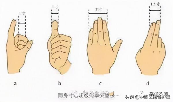 「穴位養生」教你穴位怎麼找，收藏價值極高