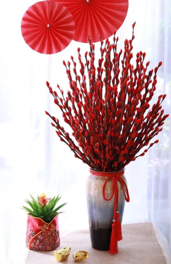 實用分享丨30款年宵花鑑賞，觀花的、賞果的都有…你最喜歡哪個？