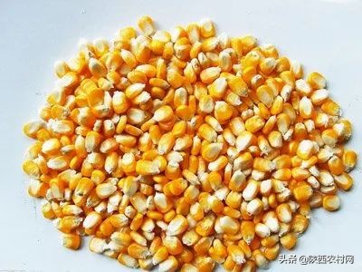 如何快速識別假農藥、假化肥和假種子?買到假貨怎麼辦? 如何快速識別假農藥、假化肥和假種子?買到假貨怎麼辦?