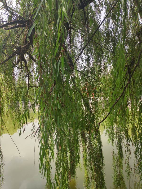 雨過天晴 公園一日遊