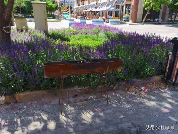 漢EV自駕新疆，第一次使用自動泊車，第一次自制烤串真香啊