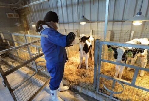 為了天津群眾的“菜籃子”分秒必爭 為了天津群眾的“菜籃子”分秒必爭