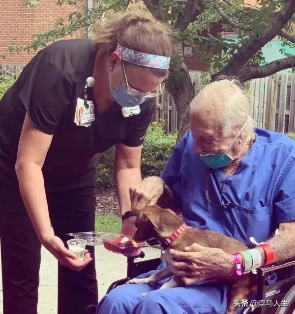 獨居老人突然中風,吉娃娃模仿倒下動作,竟救了他一命... 獨居老人突然中風,吉娃娃模仿倒下動作,竟救了他一命...