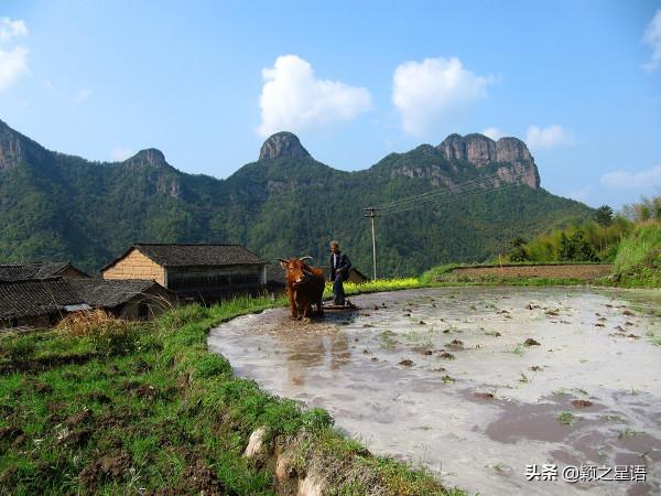 浙江竟然還有不通公路的村莊,遺落深山,美如世外桃源 浙江竟然還有不通公路的村莊,遺落深山,美如世外桃源