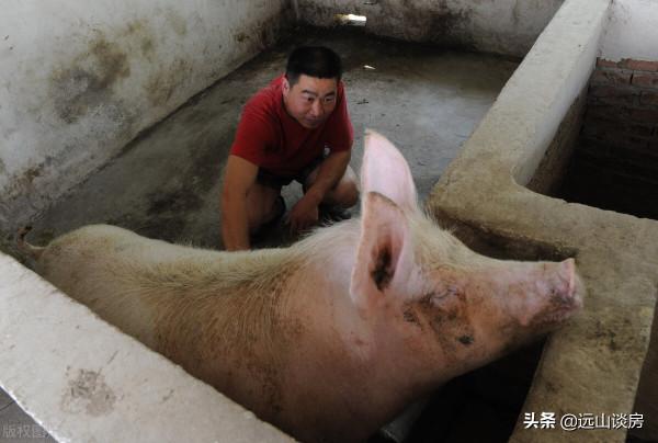 “空心村”的煩心事，新房沒人住，買樓的家庭成為新的困難戶