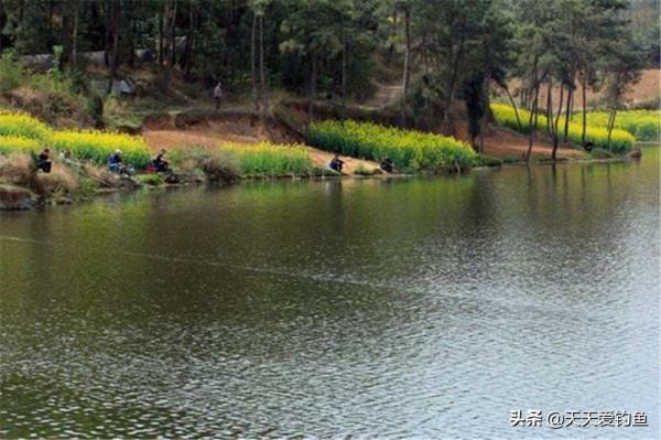 野釣選擇釣位，4個策略百試百靈，哪裡有魚活動，其實是有規律的