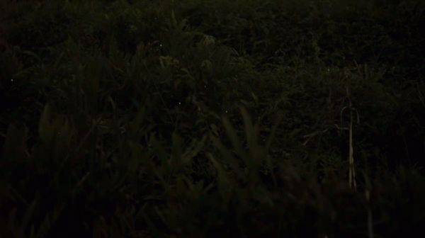 端著咖啡走路是一項鮮為人知的物理學壯舉 端著咖啡走路是一項鮮為人知的物理學壯舉