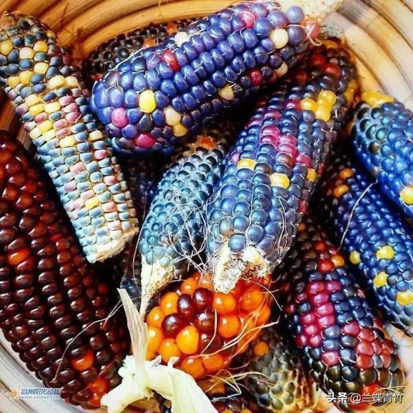 &OpenCurlyDoubleQuote;我想找個老伴，難道錯了嗎？&rdquo;66歲大媽心酸質問，戳痛子女的心