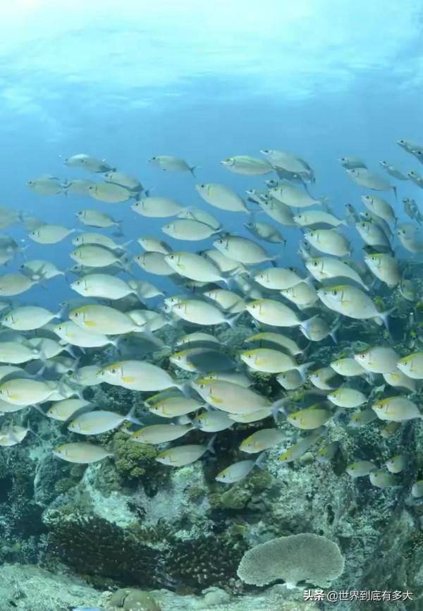 “塞席爾”現狀，比我國還富的非洲國家，帶你看看真實的塞席爾