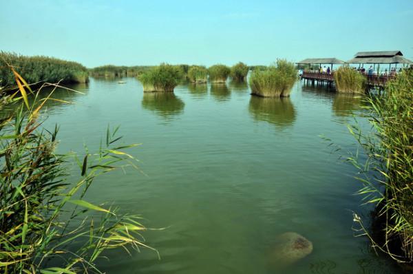 寧夏必去的十大景區
