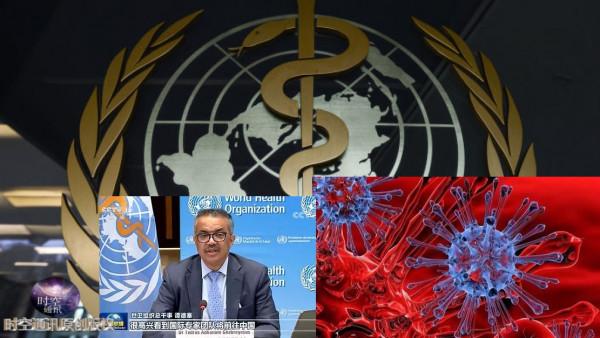 如果穿越回到2019年，能否阻止新冠疫情爆發，讓人類免遭劫難？