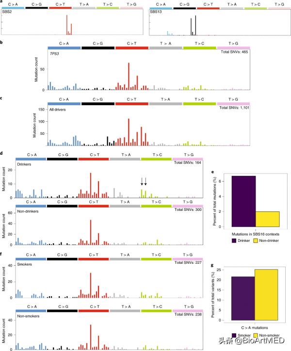 Nat Genet | 食管鱗癌的8國大佇列全基因組測序圖譜