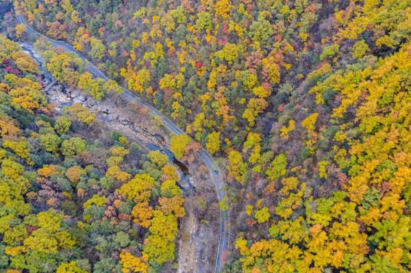 白雲山進入賞秋最佳時，提醒您一定做好個人防護
